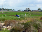 P1220275.png