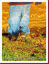 2012 Fall Photo Shoot 406 2012 Fall Photo Shoot 406