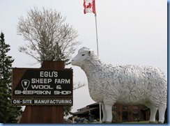 8068a Ontario Trans-Canada Highway 17 - sheep statue