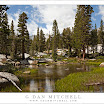 PondNearBlueLake20090806.jpg