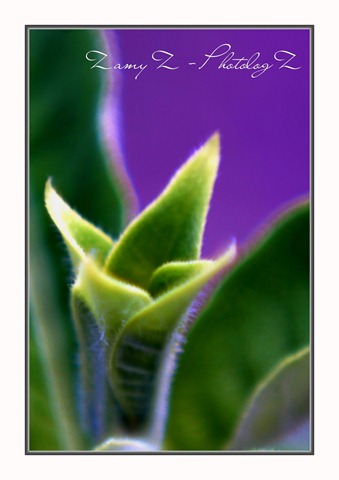 [Test%25202%255B5%255D.jpg]