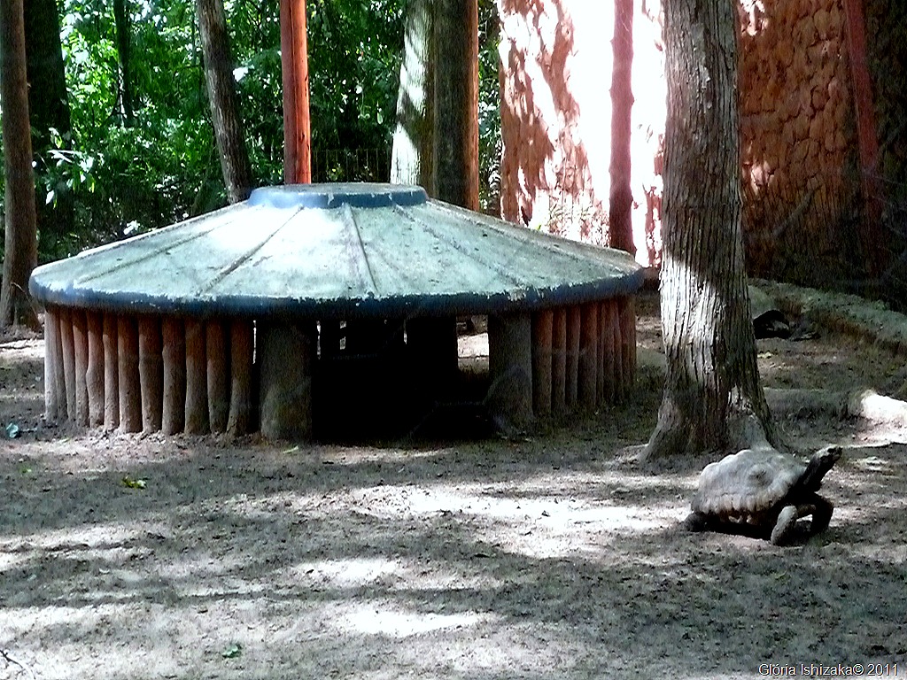 [50-%2520Gl%25C3%25B3ria%2520Ishizaka%2520-%2520Mar%25C3%25ADlia%255B18%255D.jpg]