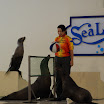 hokkaido_382.jpg