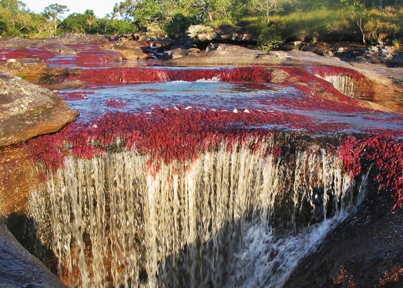  نهر الالوان الخمسة من اجمل انهار العالم : Cano-cristales-10%25255B3%25255D