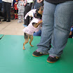 SDC11407.JPG