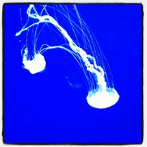 IMG_20120819_135956