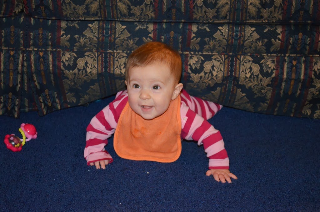 [DSC_5413%255B4%255D.jpg]