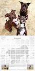 Myth busting at it's best....
Chico, Sambra and dog park friend -  by Lori Fusaro