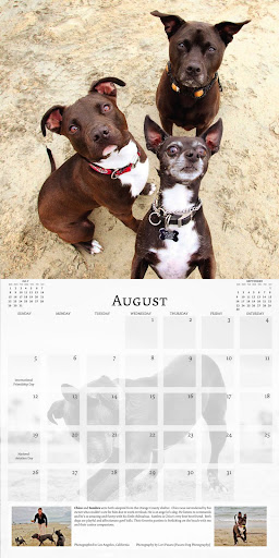 Myth busting at it's best....
Chico, Sambra and dog park friend -  by Lori Fusaro