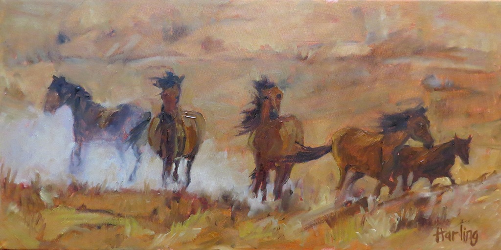 [Surprise-Valley-Wild-horses-Crystal-%255B1%255D.jpg]