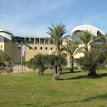 IMG_3341.JPG