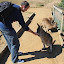 Feeding The Kangaroos - Hobart, Australia