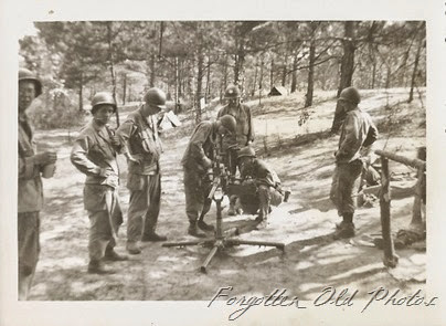 Snapshot Gun two Pequot Lakes ant Snapshot Gun two Pequot Lakes ant