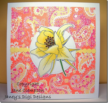 JDD & FB JC blog (1) JDD & FB JC blog (1)