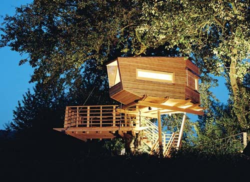 Amazing Tree Houses
