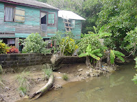 Date: 2003

Location: Flower bay, Roatan Island, Honduras

Story: We were on our way back from the West End and decided to take a detour into something named as beautifully as Flower bay. It was not so beautiful.  I had a couple of people with me and could not stop to take pictures of which there were many to be had. This one shows the colour of choice of the Island houses as well as the general state of affairs, wall falling over, garden that is not looked after and the prodigious growth of vegetation.

The muddy river is also a bit bizarre considering the poximity of the ocean.