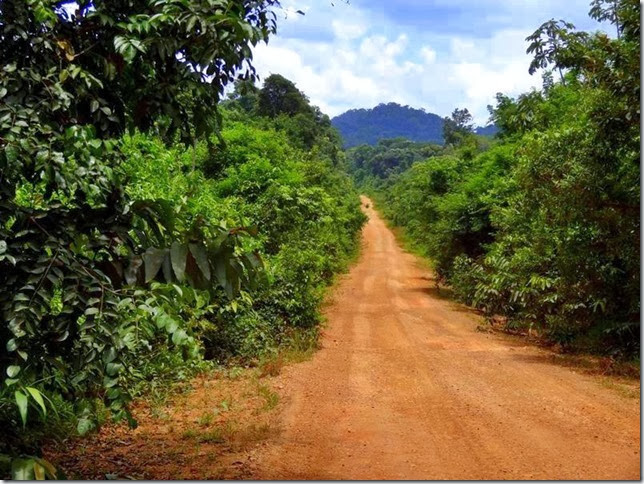 Lethem_Linden_Road_DSC06599 Lethem_Linden_Road_DSC06599