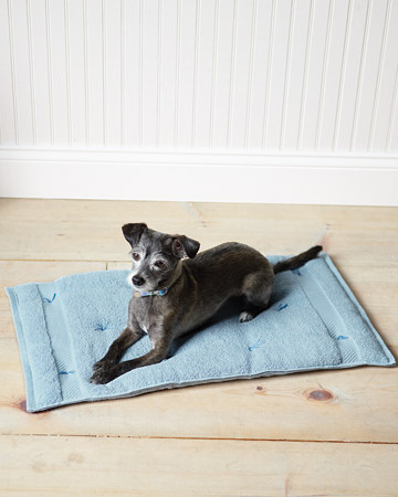 What mutt could not resist a homemade bed?
This soft cushion is easy to clean, rolls up for travel and makes use of towels you already have! What mutt could not resist a homemade bed?
This soft cushion is easy to clean, rolls up for travel and makes use of towels you already have!
