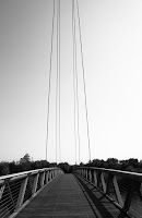 IMG_8536.JPG