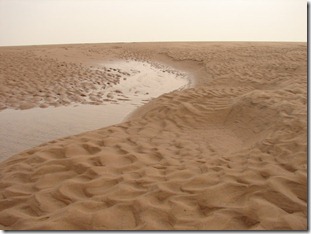 Sculpted_sand_-_geograph.org.uk_-_1273724