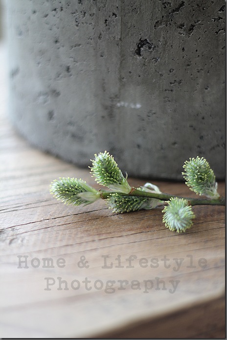 Home & Lifestyle Home & Lifestyle