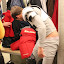 k-IMG_8483-20120202.JPG