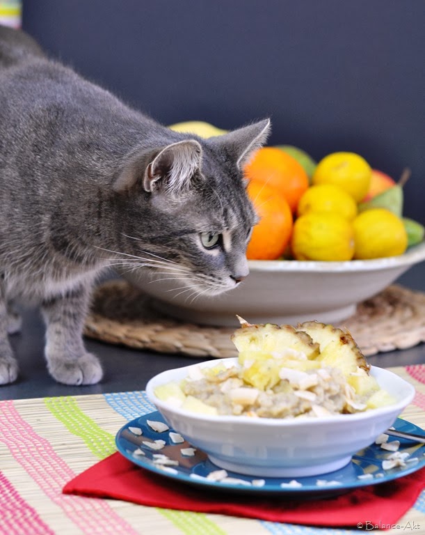 [DSC_1428%255B7%255D.jpg]