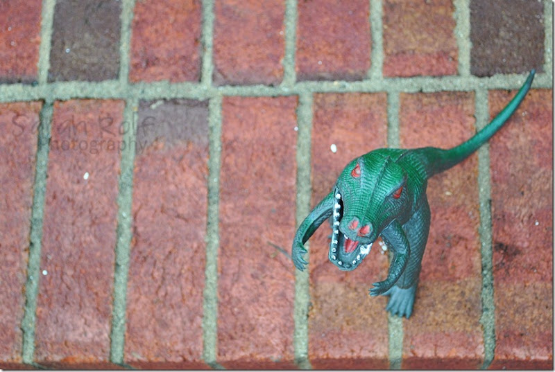 dinosaur