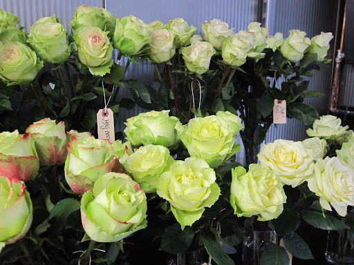 A display of flowers.