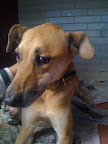 FACUNDO
MAR-2011