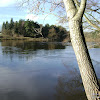 dsc07416.jpg