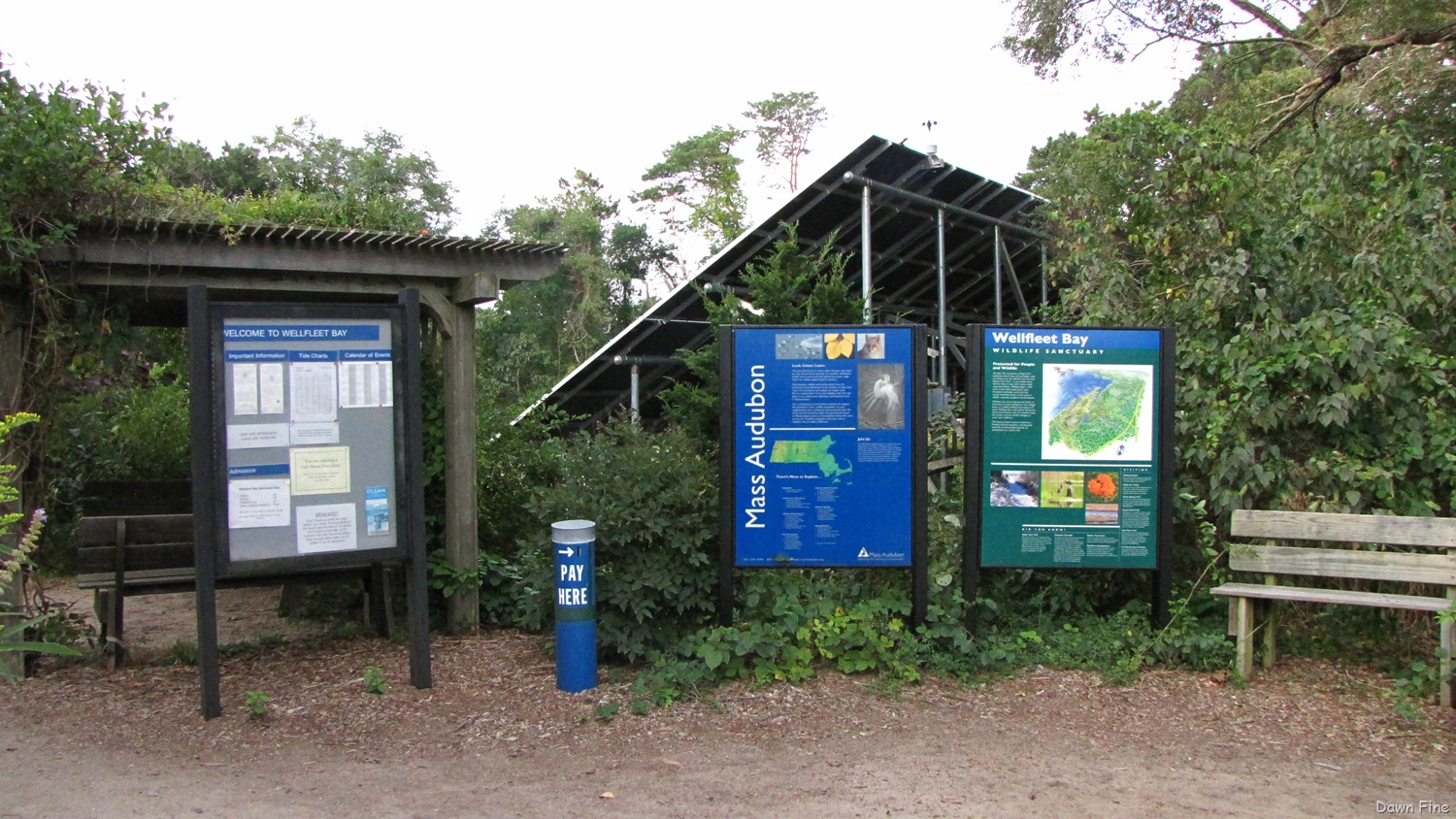 [Wellfleet-Audubon_0063.jpg]