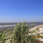 IMG_5669.JPG