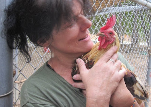 Chickens are amazingly sensitive and smart creatures! They deserve forever homes too and are available with many other species for adoption through Adopt-a-Pet.com