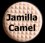 Jamilla Camel - Makeup for Professional Asian Women Jamilla Camel - Makeup for Professional Asian Women