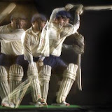 cricket web.jpg cricket web.jpg