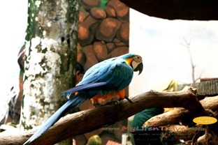 Langkawi Wildlife Park Langkawi Wildlife Park