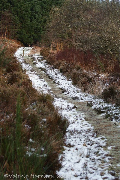 [5-snowy-path%255B2%255D.jpg]