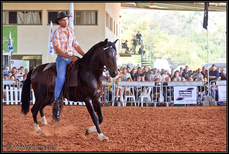 il/Фото: Stallion Show 2011 (20110416 stllion show 086 2371)