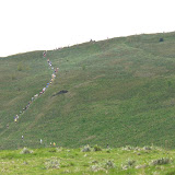 P1020128 (Medium).JPG