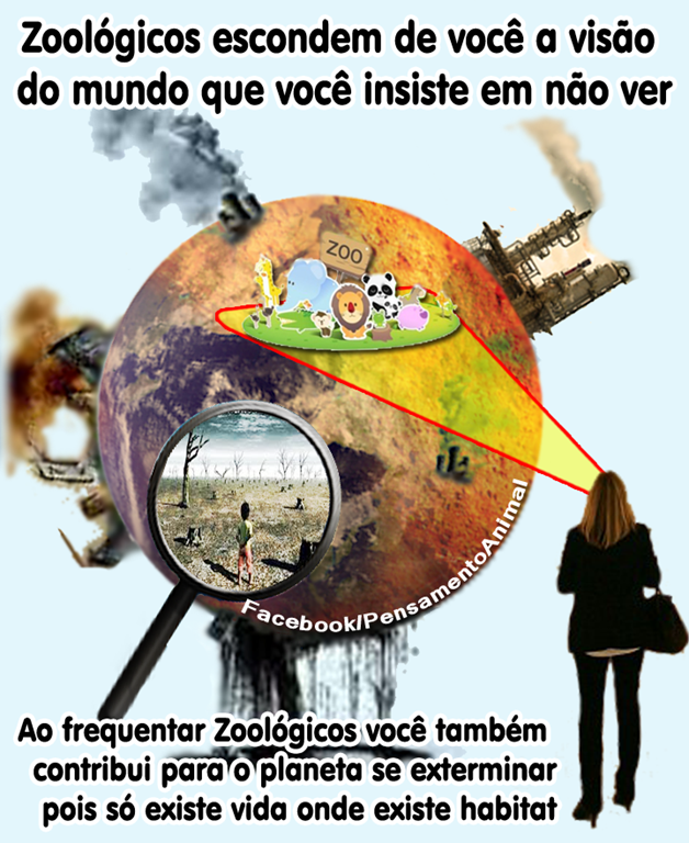 [10363952_884463378247791_4961061379996632286_n%255B3%255D.png]