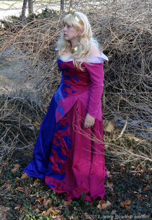[Princess%2520Aurora%2527s%2520Pink%2520and%2520Blue%2520Gown%2520%2520%252810%2529%255B9%255D.jpg]
