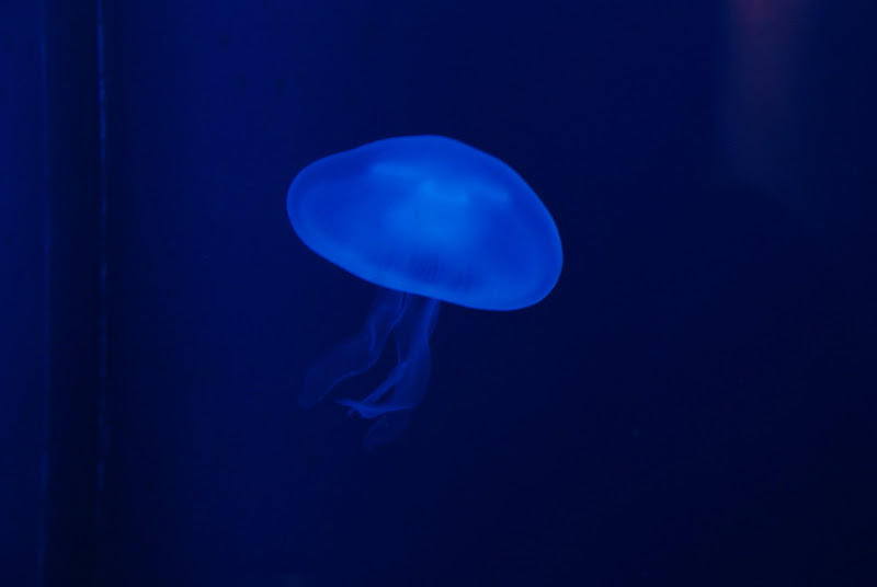 hokkaido_542.jpg