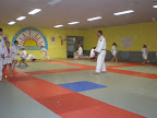 Judo - 3 juli 2009: Foto