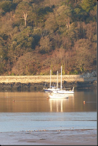 Estuary 076