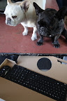 Super cool!!  A wireless keyboard and a wireless mouse!!