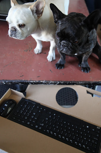 Super cool!!  A wireless keyboard and a wireless mouse!!