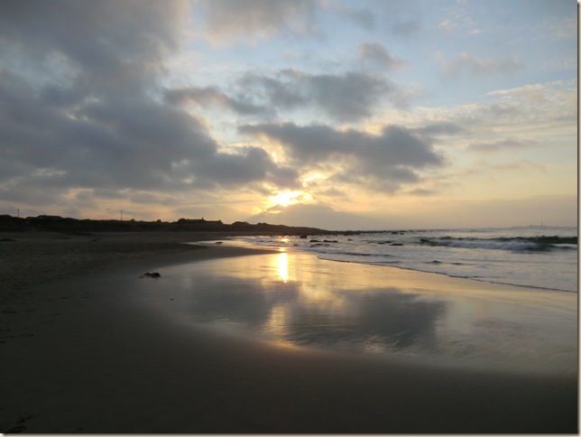 november 4 2011 019