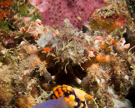 P7074966