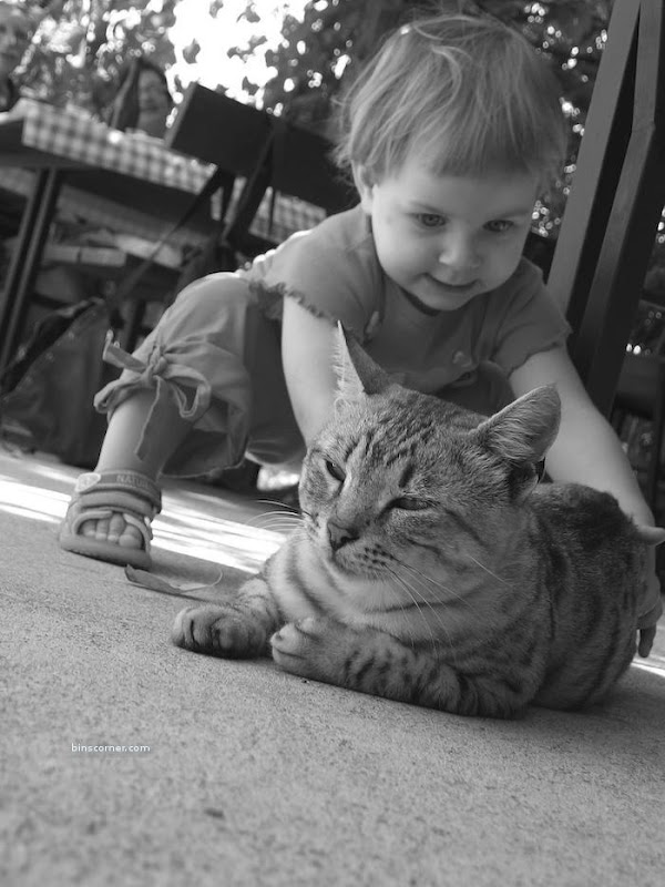 So Sweet Photos : You will smile for sure